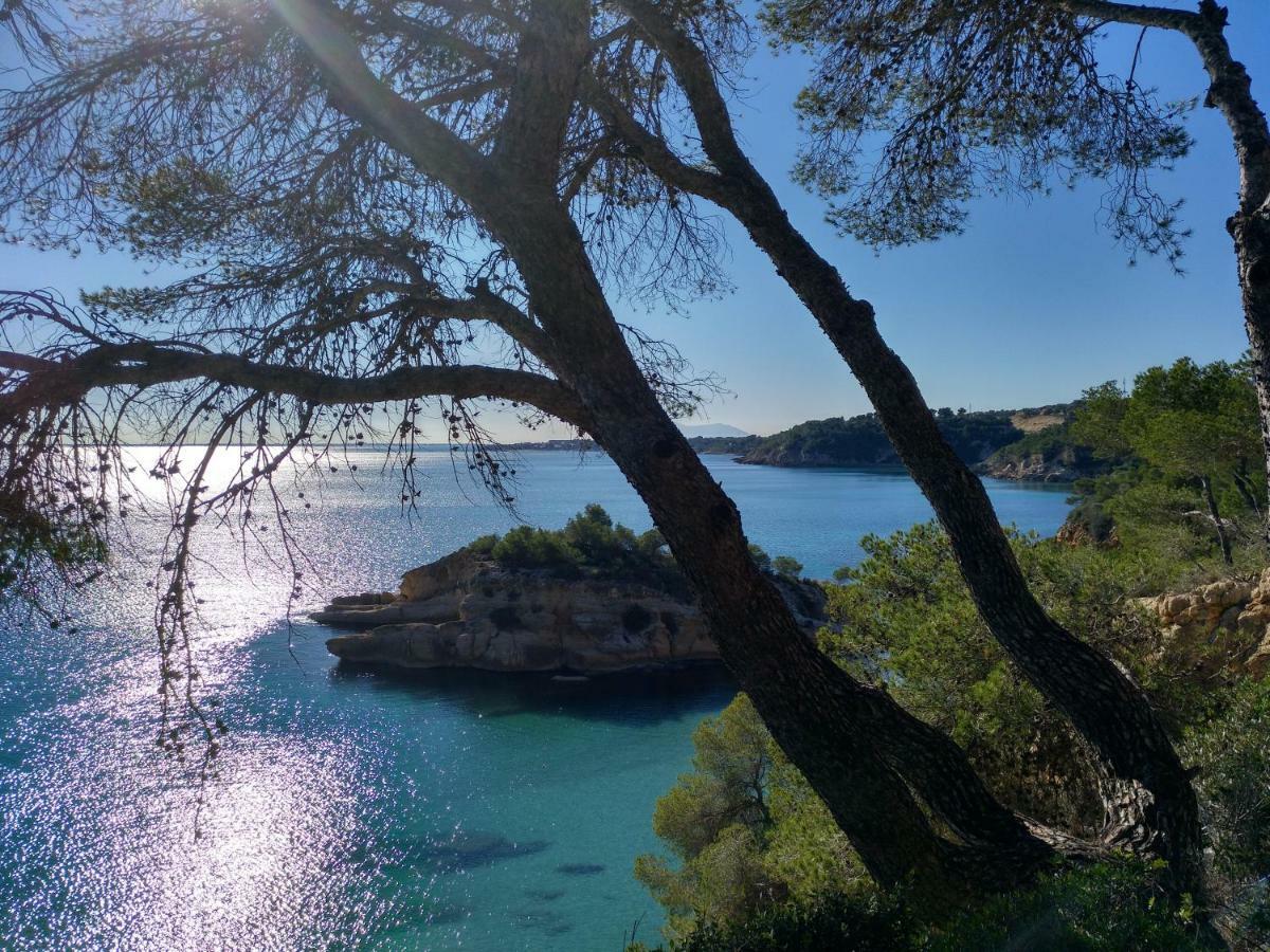 Estupendo Piso En L'Ampolla Διαμέρισμα Εξωτερικό φωτογραφία
